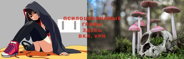 кокаин колумбия Аркадак